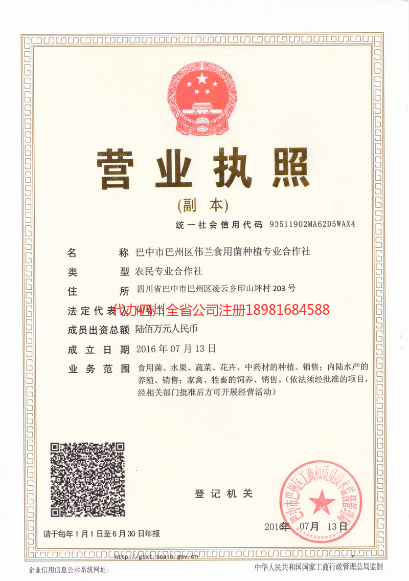 卫辉卫辉伟兰食用菌种植专业合作社